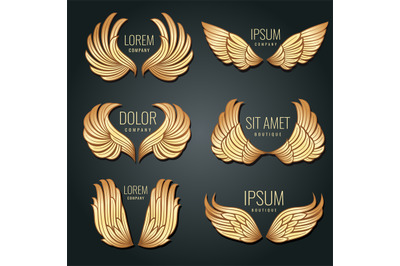 Golden wing logo vector set. Angels and bird elite gold labels for cor