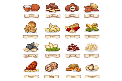 Cartoon color nut and seed grains. Vector collection