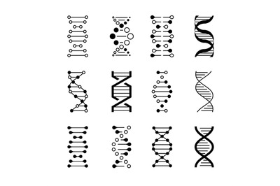 DNA icons. Genetic structure code, DNA molecule models isolated on whi