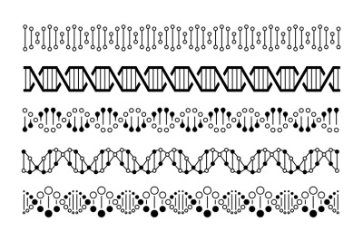 DNA elements. Molecule genome code, chromosome spirals and double heli