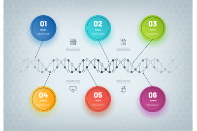 DNA infographic. Molecular chain diagram, medical step infographic, bu