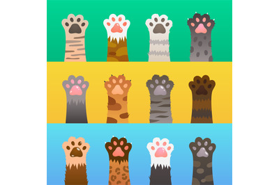 Cats paw flat. Cat paws claw hand&2C; cartoon cute animal&2C; fur funny wild