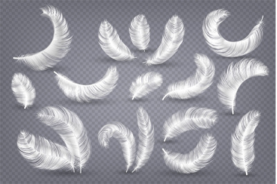 Realistic feathers. Fluffy white goose and swan feather&2C; weightless pl