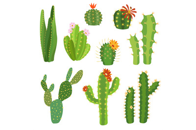 Cactus flower. Bright cacti aloe leaves exotic cactuses plants summer