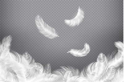 White feather background. Closeup bird or angel feathers. Falling weig