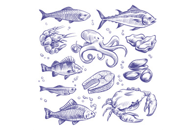 Seafoods hand drawn. Sea fishes oysters mussels lobster squid octopus