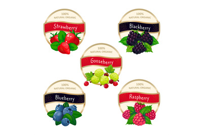 Berry jam and marmalade labels. Fresh strawberry blueberry gooseberry