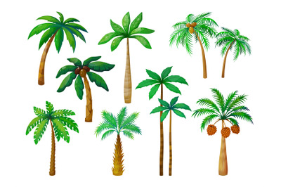 Cartoon palm tree. Jungle palm trees with green leaves, coconut beach