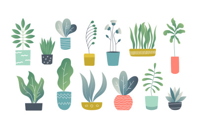 Flat houseplants. Indoor doodle garden plants, cute interior succulent