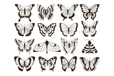 Monochrome butterflies. Black and white drawing&2C; hand drawn tattoo sha