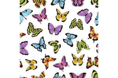 Butterfly seamless pattern. Floral garden print, seamless graphic back