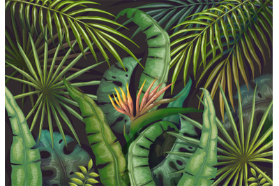 Palm leaves background. Tropical summer jungle, exotic plant flyer, gr