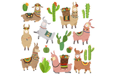 Llama cactus. Chile llamas alpaca and cacti wild lama. Peru camel&2C; gir