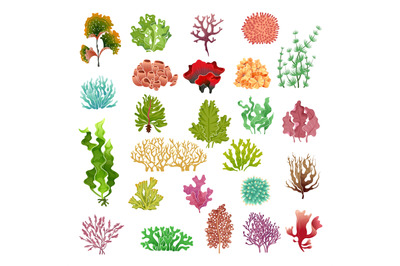 Coral and seaweed. Underwater flora, sea water seaweeds aquarium game