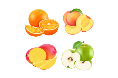 Vector illustrations of various fresh fruits. Realistic vector picture