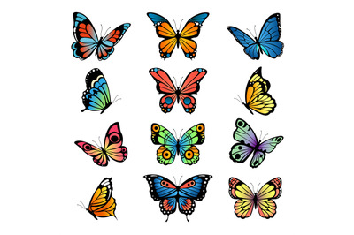 Various cartoon butterflies. Set vector illustrations of butterflies