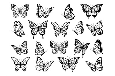 Silhouettes of butterflies. Black pictures of funny butterflies