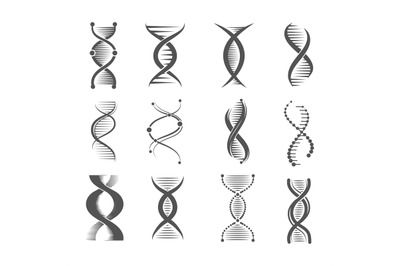 Dna spiral icons. Helix human technology research molecule and chromos