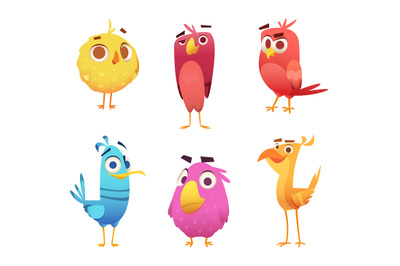 Angry cartoon birds. Chicken eagles canary animal faces and feathers v