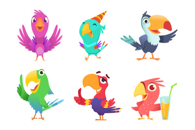 Cartoon parrots characters. Cute feathered birds with colored wings fu