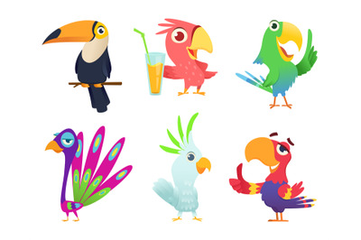 Tropical parrots characters. Feathered exotic macaw birds pets colored