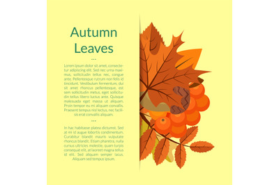 Vector cartoon autumn elements and leaves background