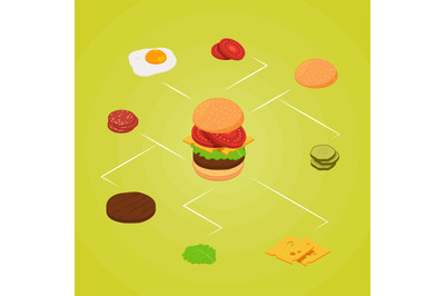 Vector isometric burger ingredients infographic illustration color