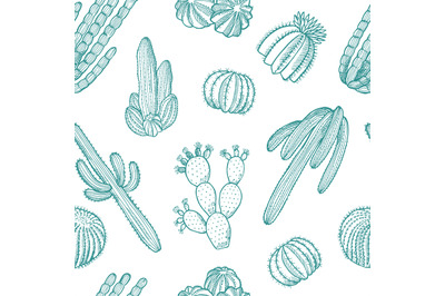 Vector hand drawn wild cacti plants pattern illustration