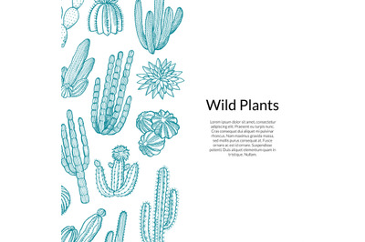 Cactus Pattern. Vector hand drawn wild cacti plants