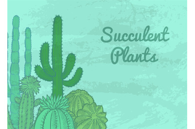 Vector cacti plants background