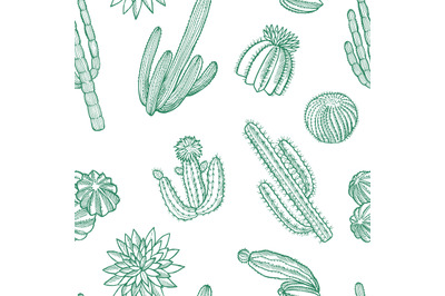 Vector hand drawn wild cacti plants pattern illustration