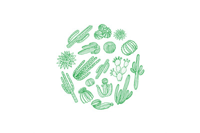 Vector hand drawn desert cacti plants in circle shape illustration