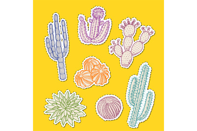 Vector hand drawn desert cacti stickers set illustration