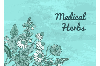 Vector hand drawn medical herbs background with place for text illustr