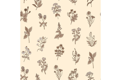 Vector hand drawn medical herbs pattern or background illustration