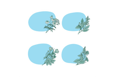 Vector hand drawn medical herbs stickers