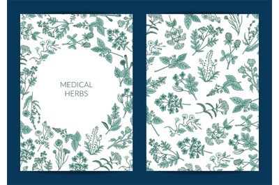 Vector hand drawn medical herbs card or flyer template illustration