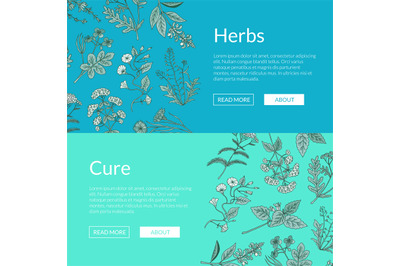 Vector hand drawn medical herbs web banner templates illustration