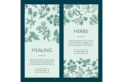 Vector hand drawn medical herbs web banner templates illustration