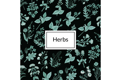 Vector hand drawn medical herbs background illustration