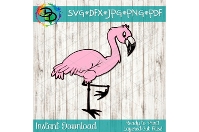 Flamingo SVG, Flamingo Clipart, Zoo SVG, Animal Svg, Beach Svg, animal