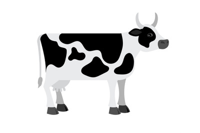 Cartoon cow on white background