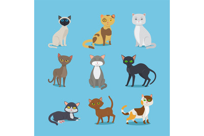 Cartoon domestic cat set