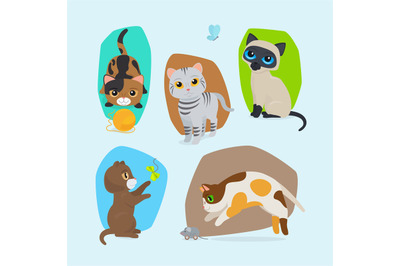 Cute kittens isolated illustration set