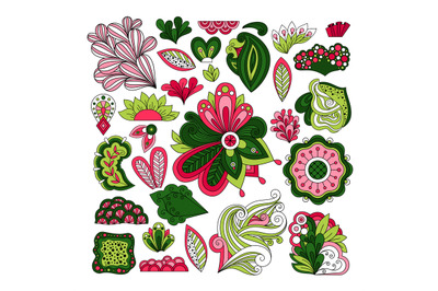 Hand drawn floral vector elements