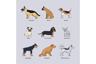 Doodle dog breeds vector set