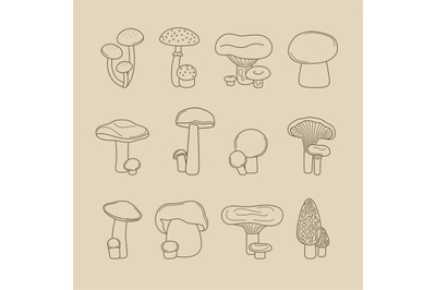 Vector hand drawing mushrooms