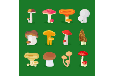 Edible mushrooms and toadstools icons