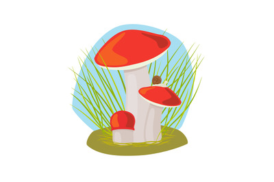 Forest mushroom with grass and snail