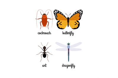 Colorful insects vector set